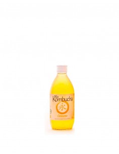 Kombucha cúrcuma Bio 330ml...