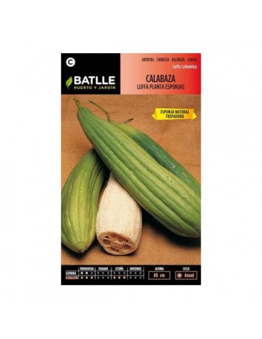 Semillas de calabaza luffa planta de...