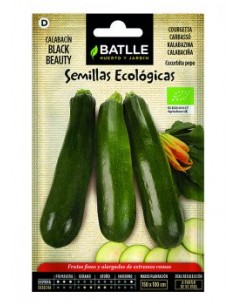 Semillas calabacín black...