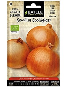 Semillas de cebolla...
