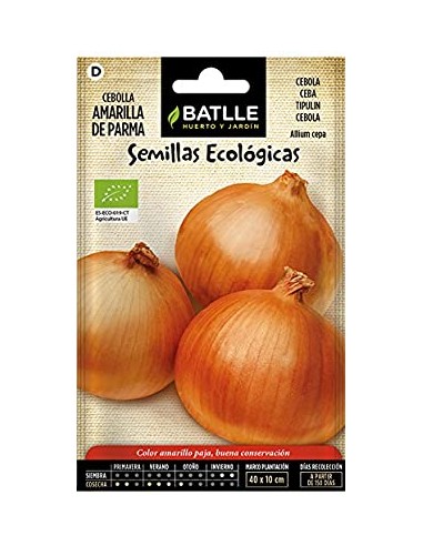 Semillas de cebolla amarilla de Parma...