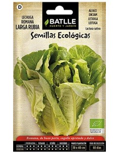 Semillas de lechuga romana...