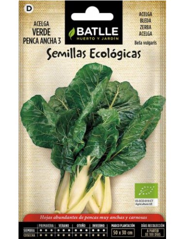 Semillas de acelga verde de penca...