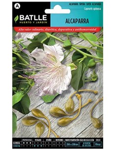 Semillas de alcaparra 1g...