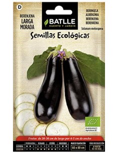 Semillas de berenjena larga...