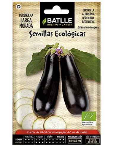 Semillas de berenjena larga morada...