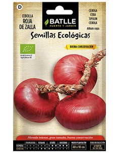 Semillas de cebolla roja de...