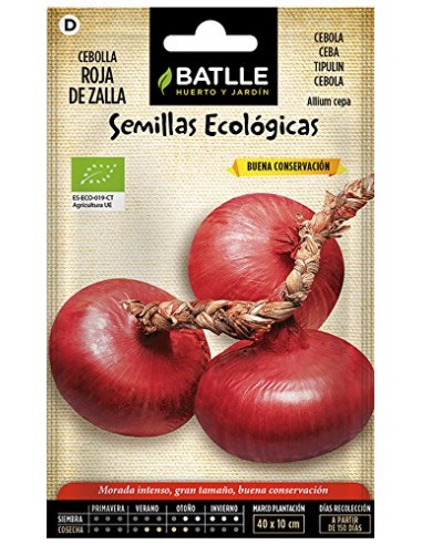 Semillas de cebolla roja de zalla Bio...