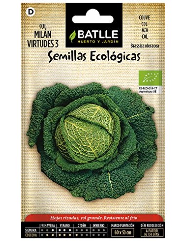 Semillas de col Milán virtudes Bio 2g...
