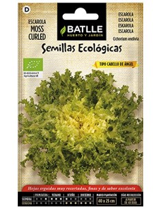 Semillas de escarola...