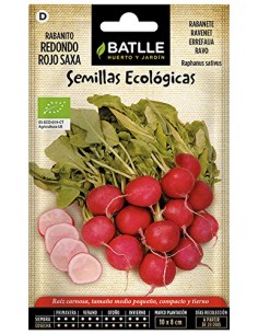 Semillas de rabanito...