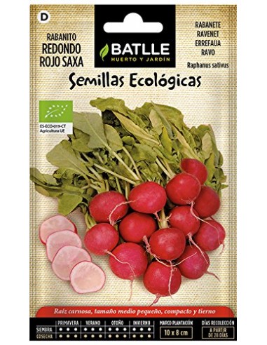 Semillas de rabanito redondo rojo...