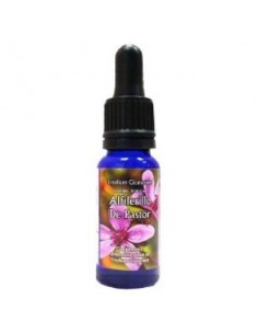 Alfilerillo pastor 15ml...