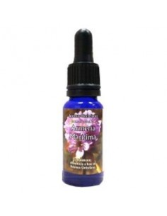 Armeria marítima 15ml...