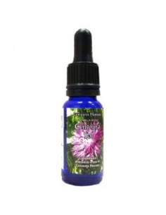 Centaura de sol 15ml...