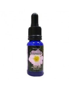 Escaramujo 15ml Esencias...