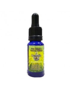 Remedio vital 15ml Esencias...
