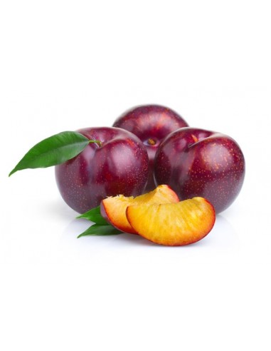 Ciruela roja Bio Frutería