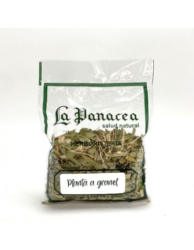 Romero planta 50g