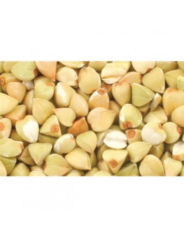 Trigo sarraceno Bio Granel