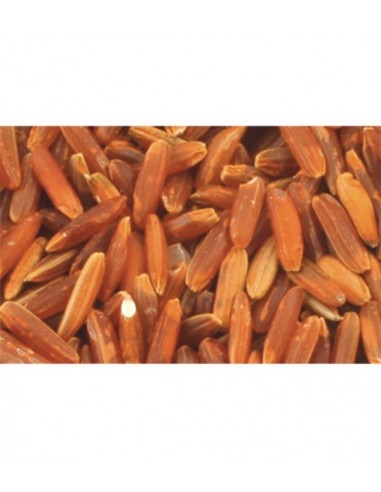 Arroz rojo Bio Granel