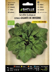 Semilla de espinaca gigante...