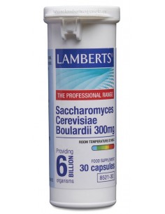 Saccharomyces Cerevisiae...