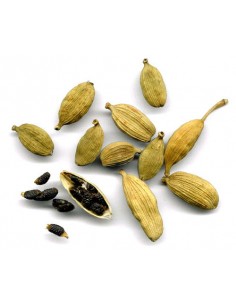 Cardamomo semilla Granel 2