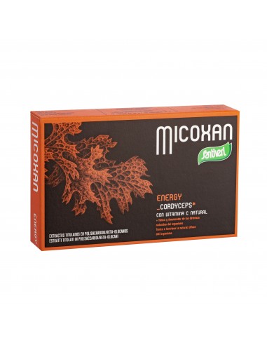 Micoxan Energy 40caps Santiveri
