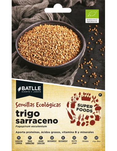 Semillas de trigo sarraceno super...