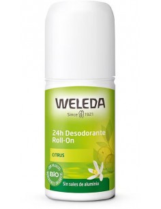 Desodorante roll-On 24h...
