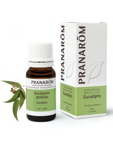 Aceite esencial de eucalipto 10ml...