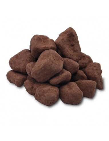 Jengibre con chocolate negro Granel