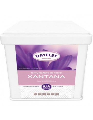 Goma xantana sin gluten 500g Dayelet