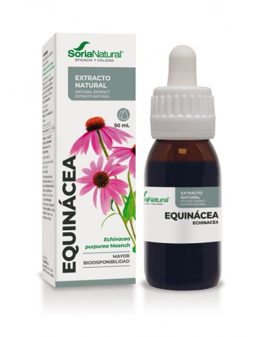 Extracto de equinácea 50ml Soria Natural
