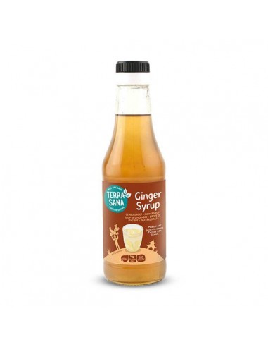 Sirope de jengibre Bio 250ml TerraSana