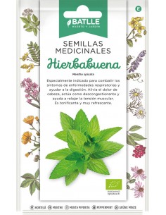 Semillas de hierba buena...