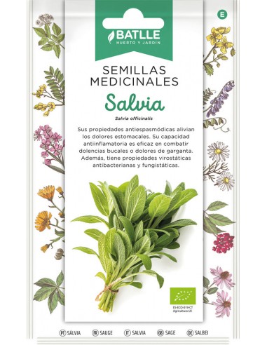 Semillas de salvia Bio Batlle