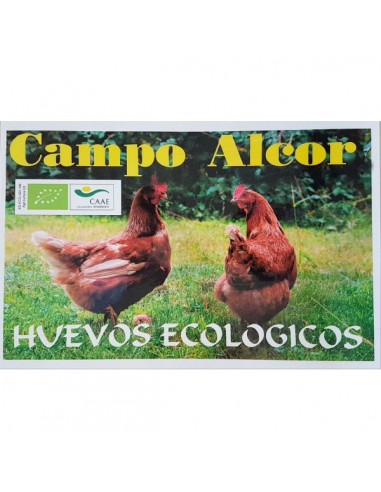 Huevos carton 30ud Bio Campo Alcor