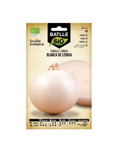 Cebolla Blanca de Lisboa ecológico Batlle semillas ecológicas para cultivo de cebolla blanca de buen calibre.