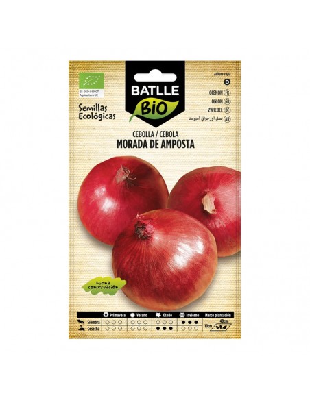 Cebolla Morada de Amposta ecológico Batlle semillas ecológicas para cultivo de cebolla morada de gran conservación.