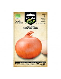 Cebolla Valenciana tardía ecológico Batlle semillas ecológicas para cultivo de cebolla dulce de excelente conservación.