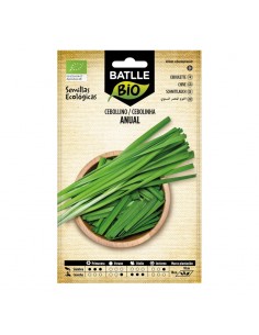 Cebollino anual ecológico Batlle semillas ecológicas para cultivo de cebollino aromático de hojas finas y sabor suave.