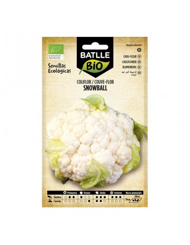 Coliflor Snowball ecológico Batlle semillas ecológicas para cultivo de coliflor de pella blanca compacta y uniforme.