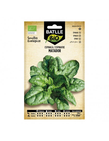 Espinaca Matador ecológico Batlle semillas ecológicas para cultivo de espinaca de hojas grandes, carnosas y verde intenso.
