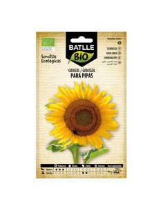 Girasol para pipas ecológico Batlle semillas ecológicas para cultivo de girasol productor de pipas de gran tamaño y floración o