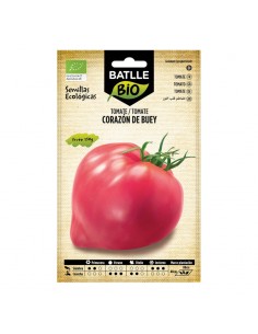 Tomate corazón de buey ecológico Batlle semillas ecológicas para cultivo de tomates grandes, carnosos y de sabor intenso.