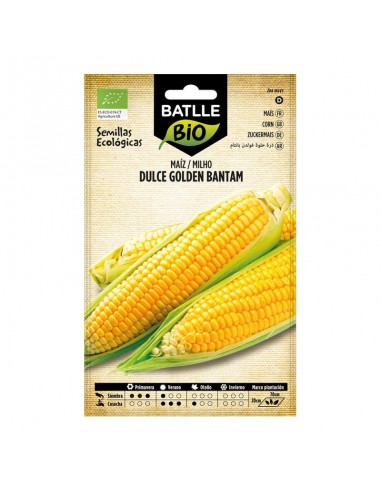 Maíz dulce Golden Bantam ecológico Batlle semillas ecológicas de maíz dulce de granos amarillos y sabor tradicional.