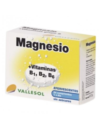 Magnesio + Vitamina B efervescente...