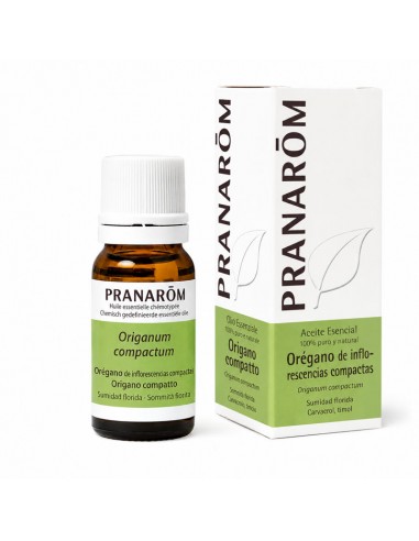 Aceite esencial de orégano de inflorescencias compactas 10ml Pranarom
